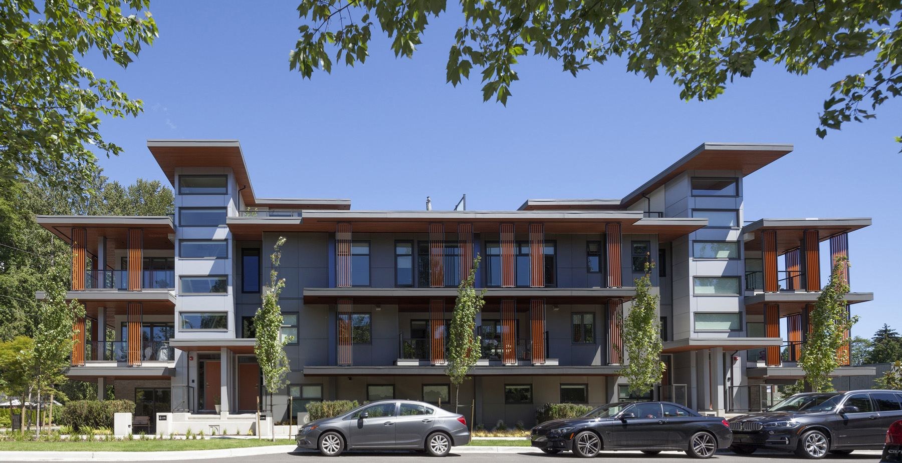 Koen Burnaby photo 3